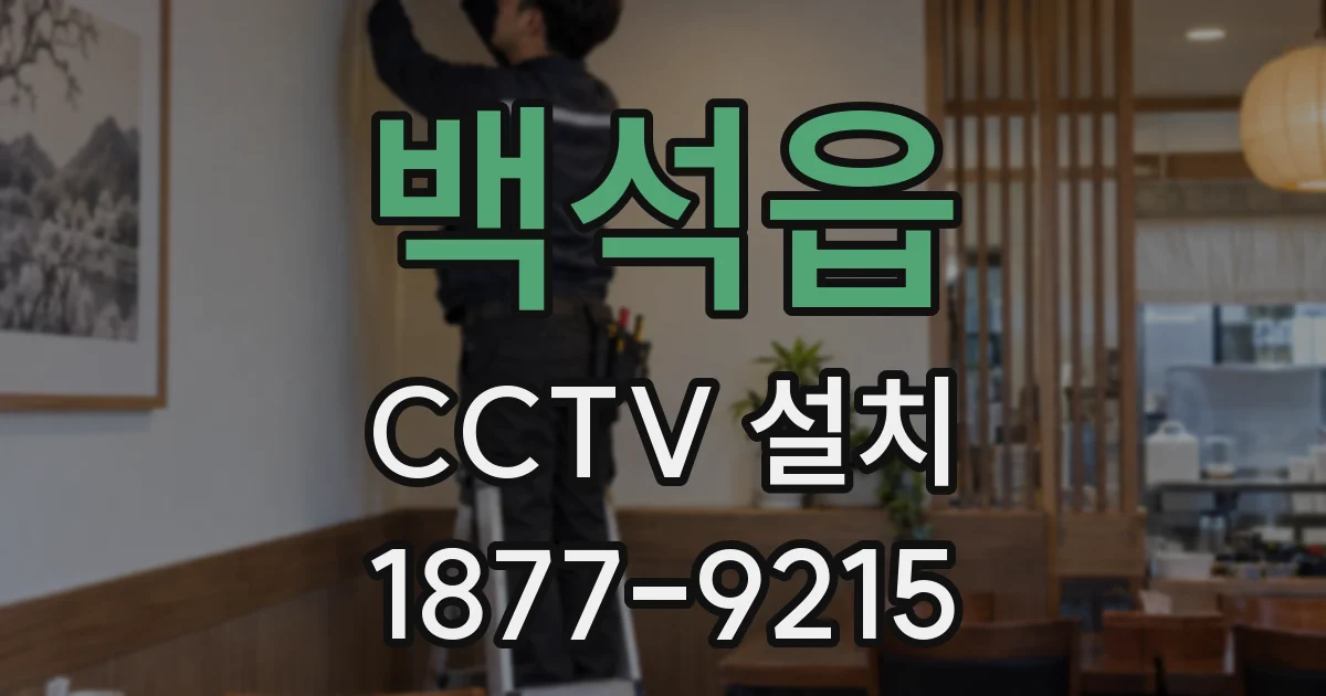 백석읍 CCTV 설치