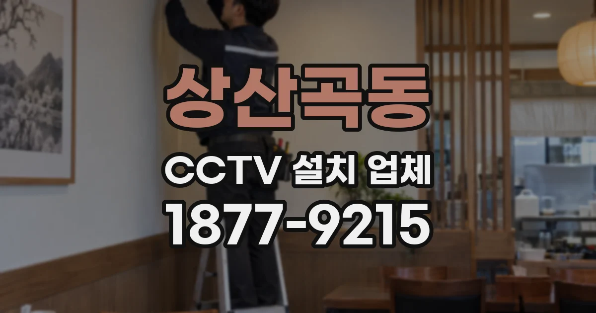 상산곡동 CCTV 설치 업체