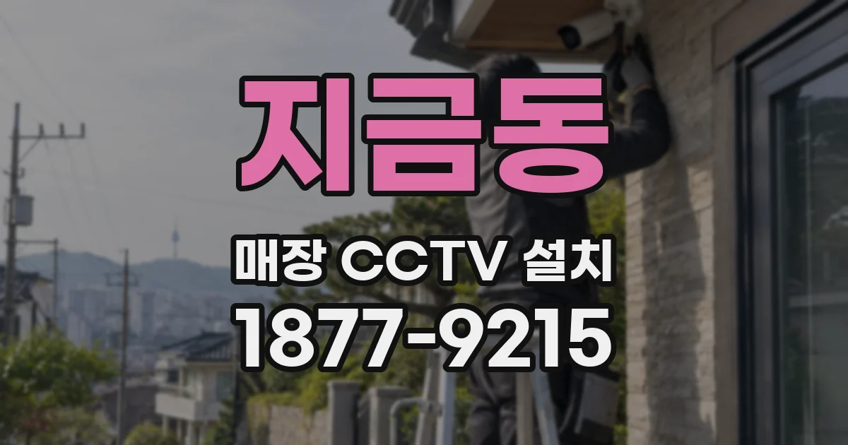 지금동 매장 CCTV 설치