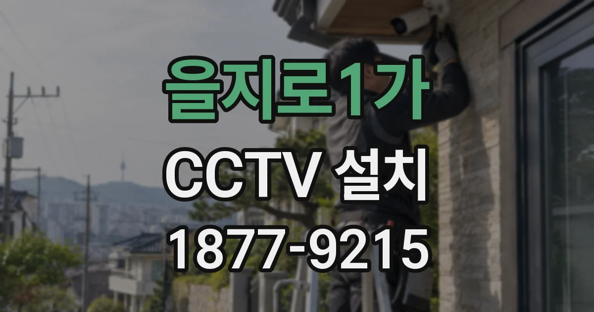 을지로1가 CCTV 설치