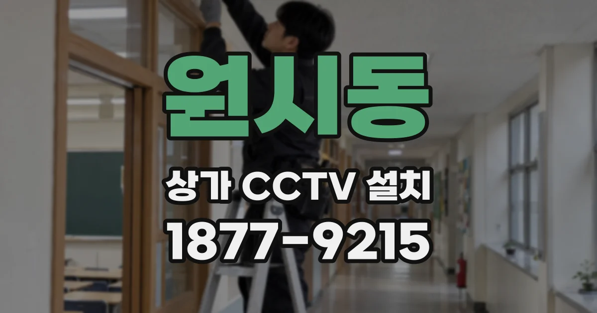 원시동 상가 CCTV 설치