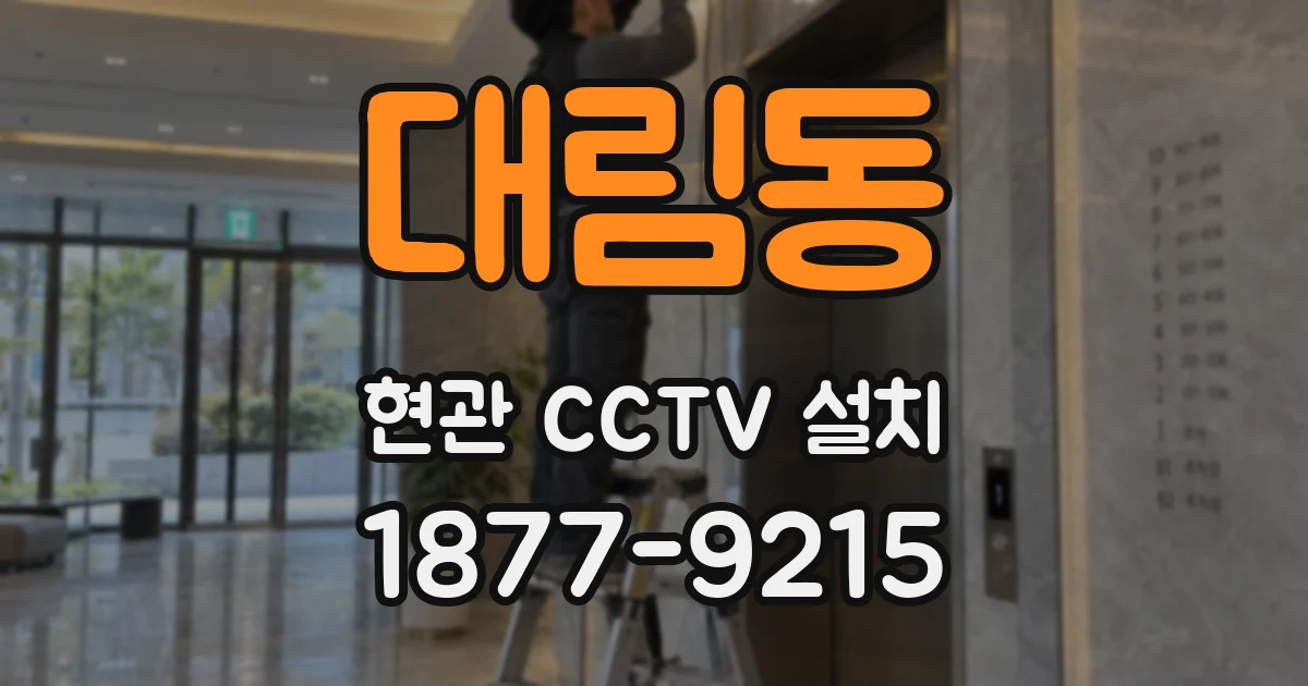 대림동 현관 CCTV 설치