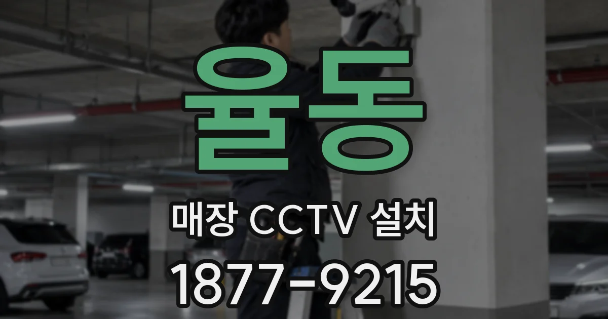 율동 매장 CCTV 설치