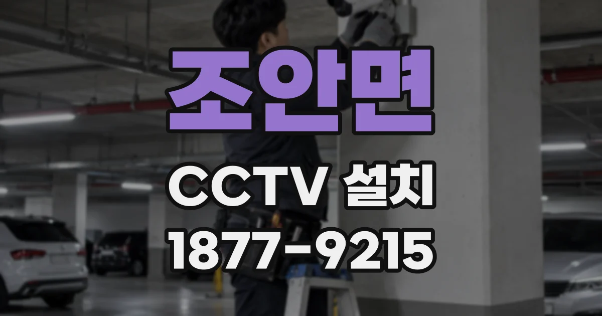 조안면 CCTV 설치
