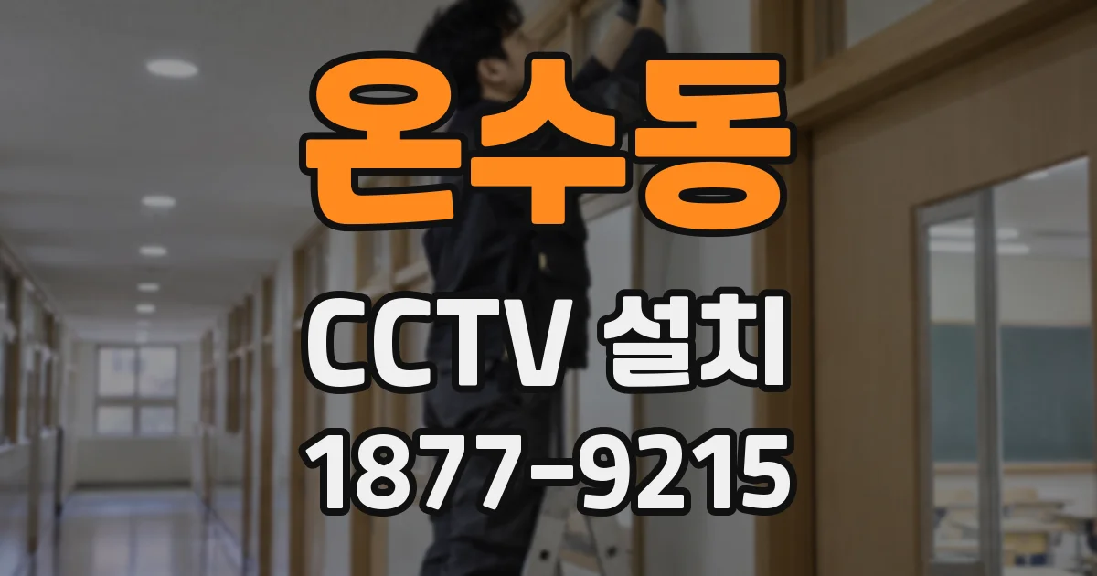 온수동 CCTV 설치