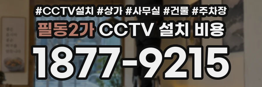 필동2가 CCTV 설치 비용