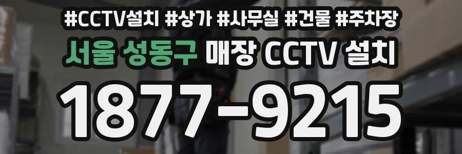 서울 성동구 매장 CCTV 설치