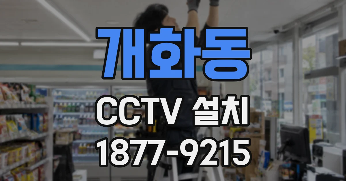 개화동 CCTV 설치