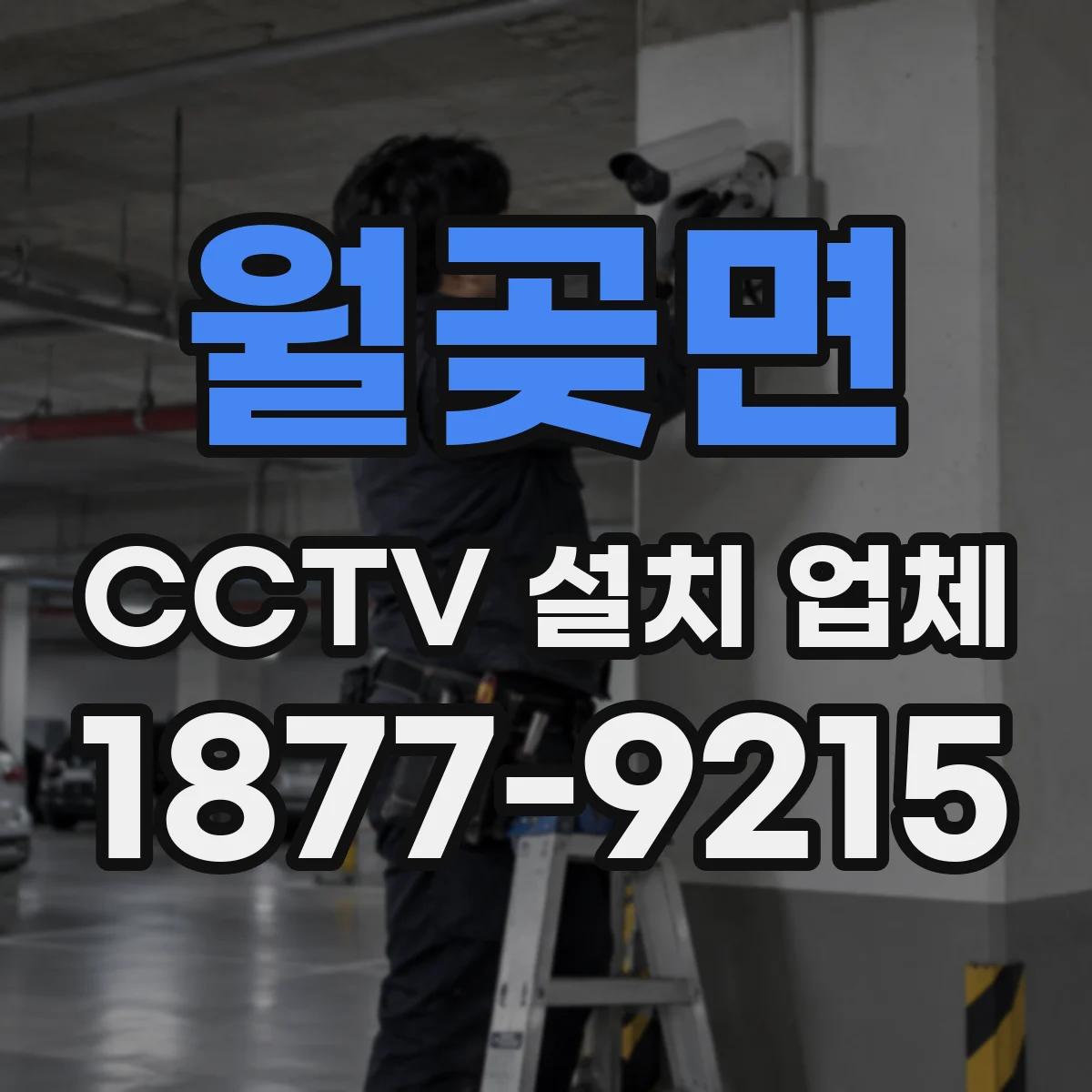 월곶면 CCTV 설치 업체