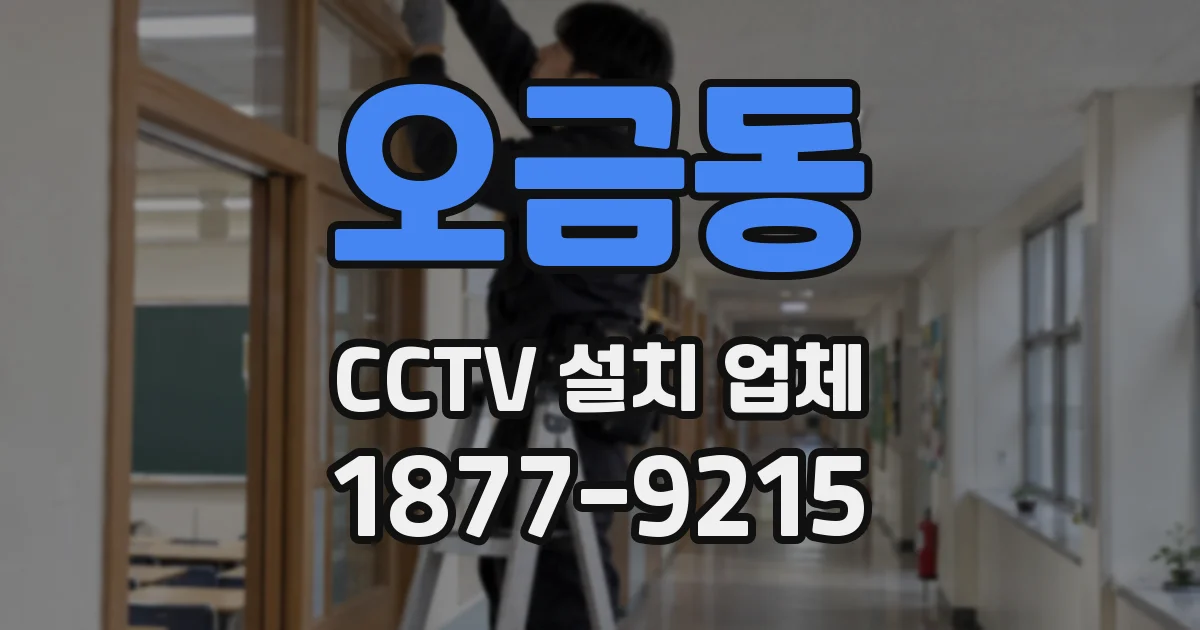 오금동 CCTV 설치 업체