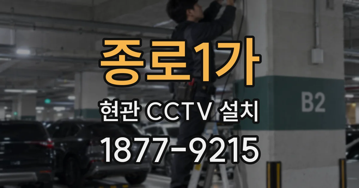 종로1가 현관 CCTV 설치