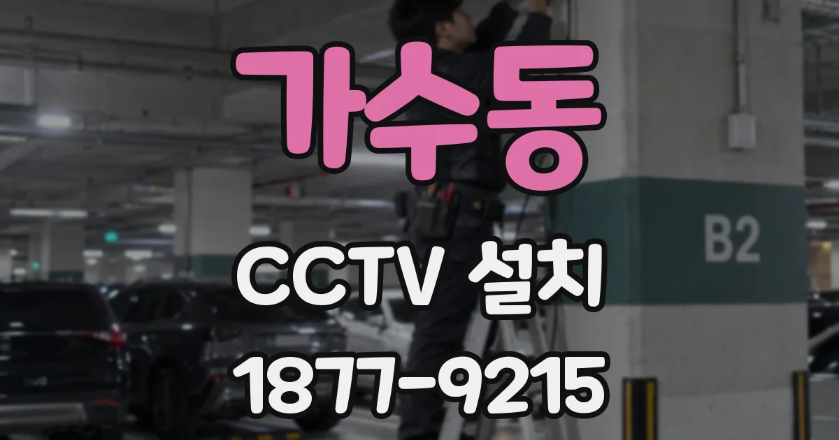 가수동 CCTV 설치