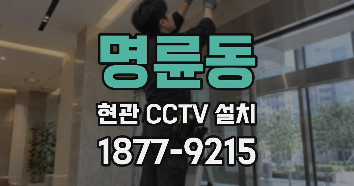 명륜동 현관 CCTV 설치