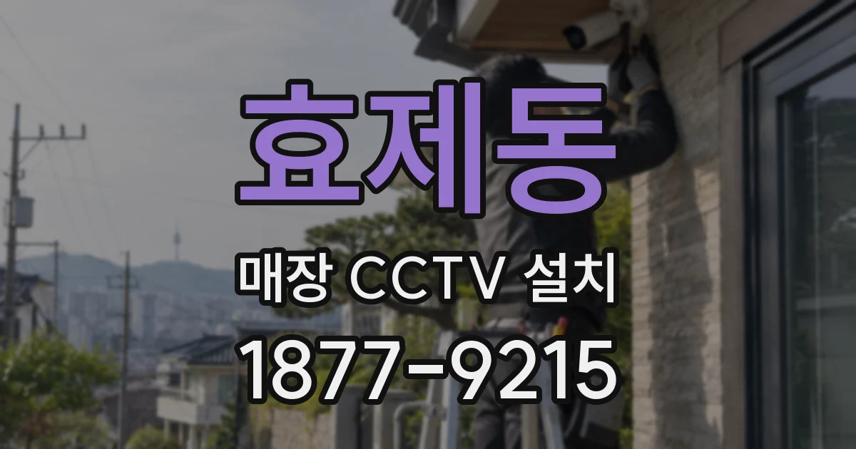 효제동 매장 CCTV 설치