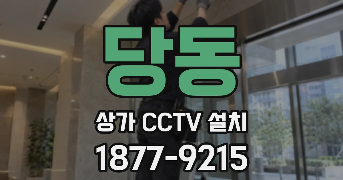 당동 상가 CCTV 설치