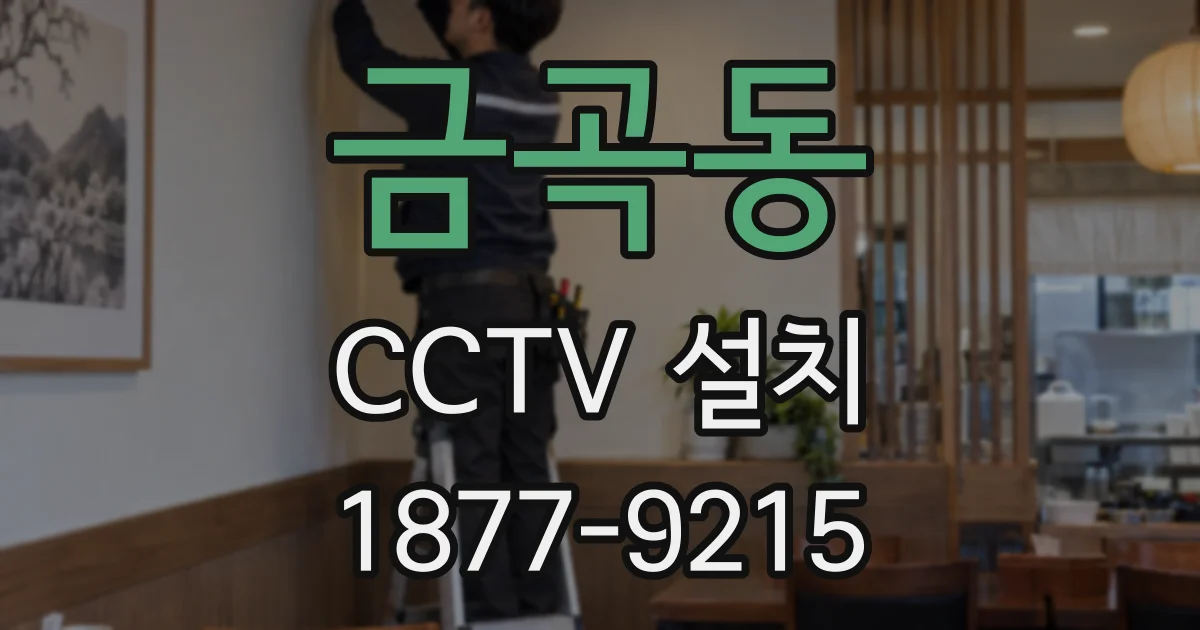 금곡동 CCTV 설치