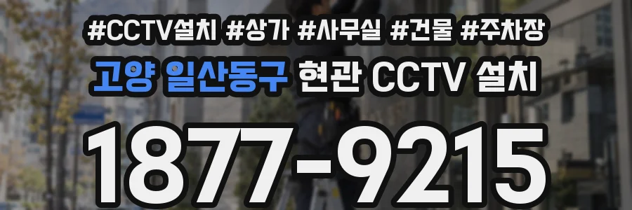고양 일산동구 현관 CCTV 설치