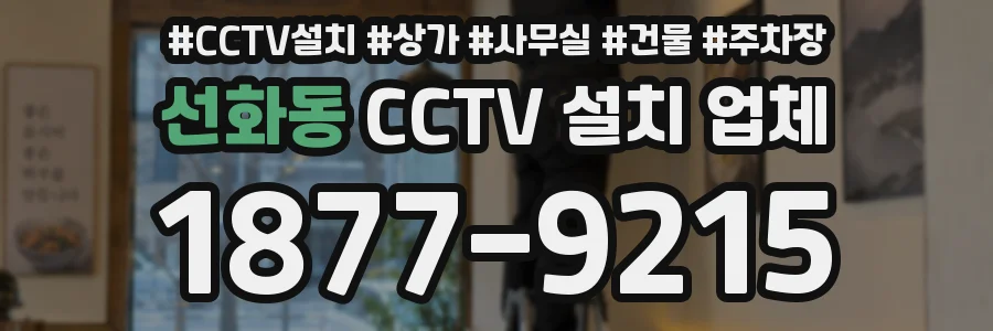 선화동 CCTV 설치 업체