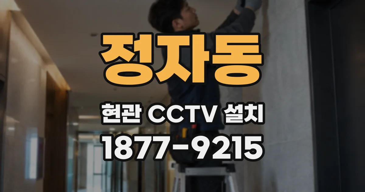 정자동 현관 CCTV 설치