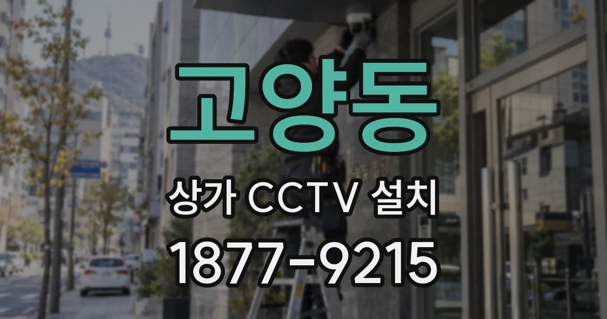 고양동 상가 CCTV 설치
