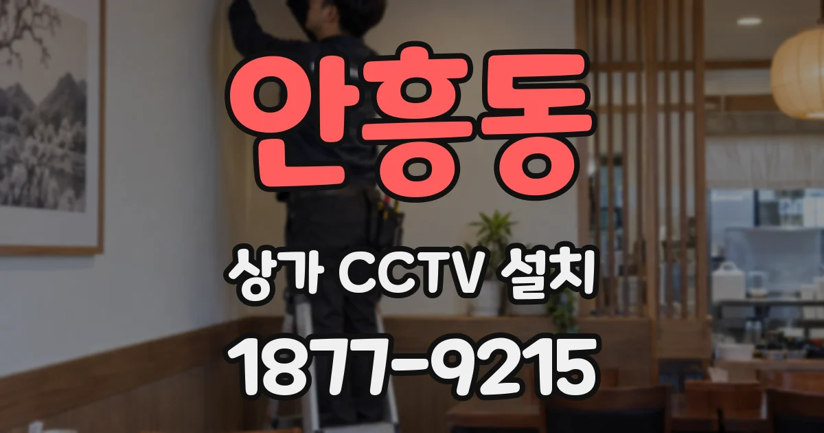 안흥동 상가 CCTV 설치