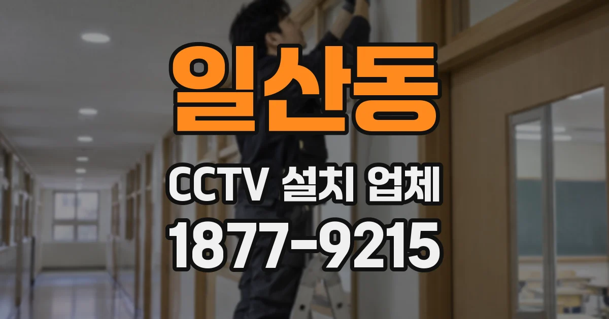 일산동 CCTV 설치 업체