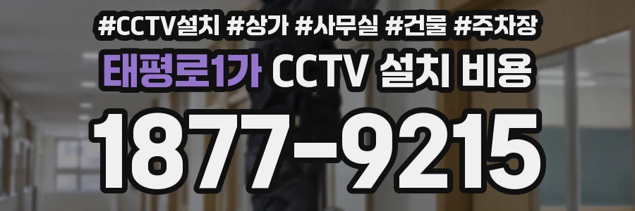 태평로1가 CCTV 설치 비용