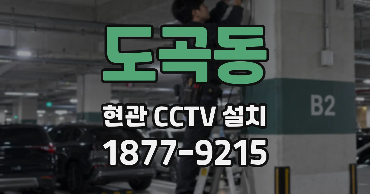 도곡동 현관 CCTV 설치