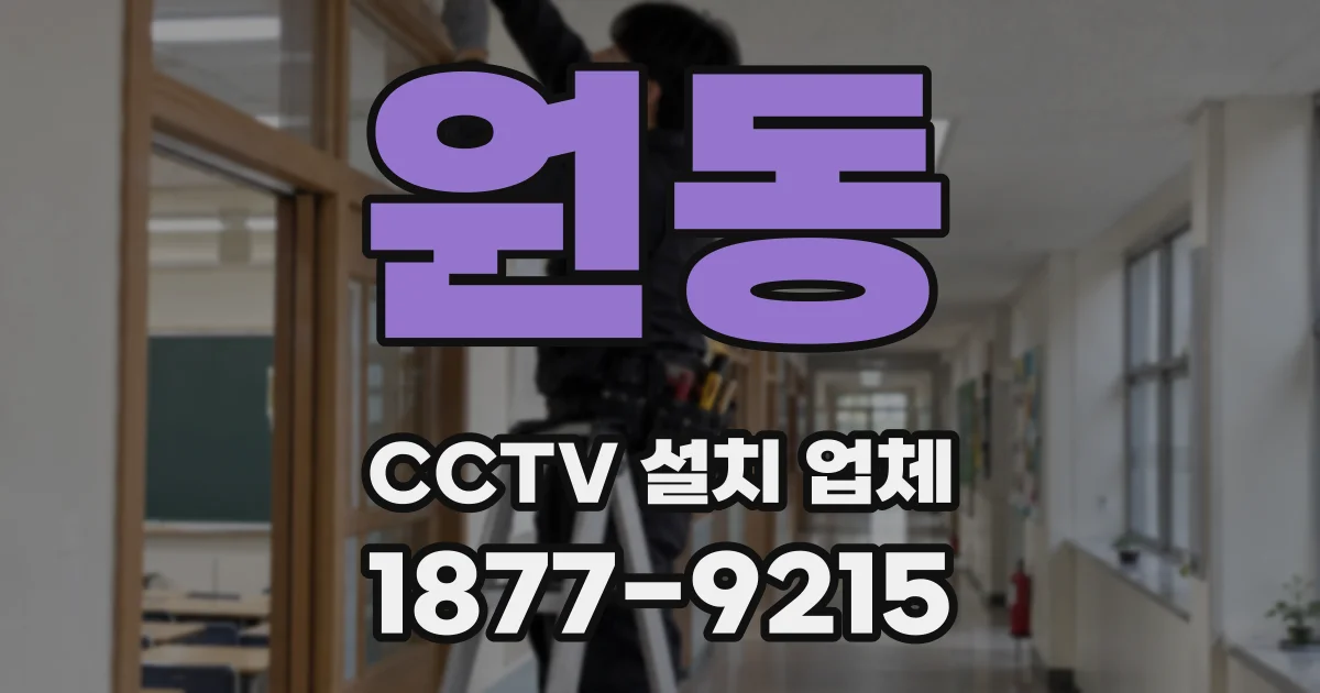 원동 CCTV 설치 업체