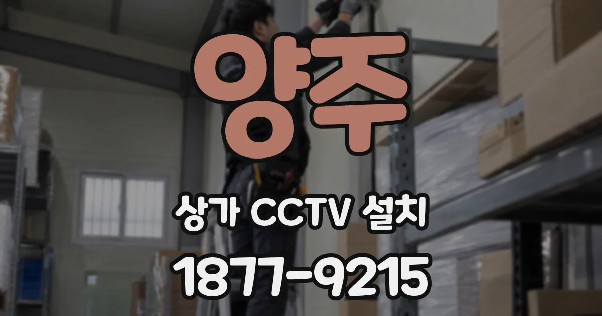 양주 상가 CCTV 설치