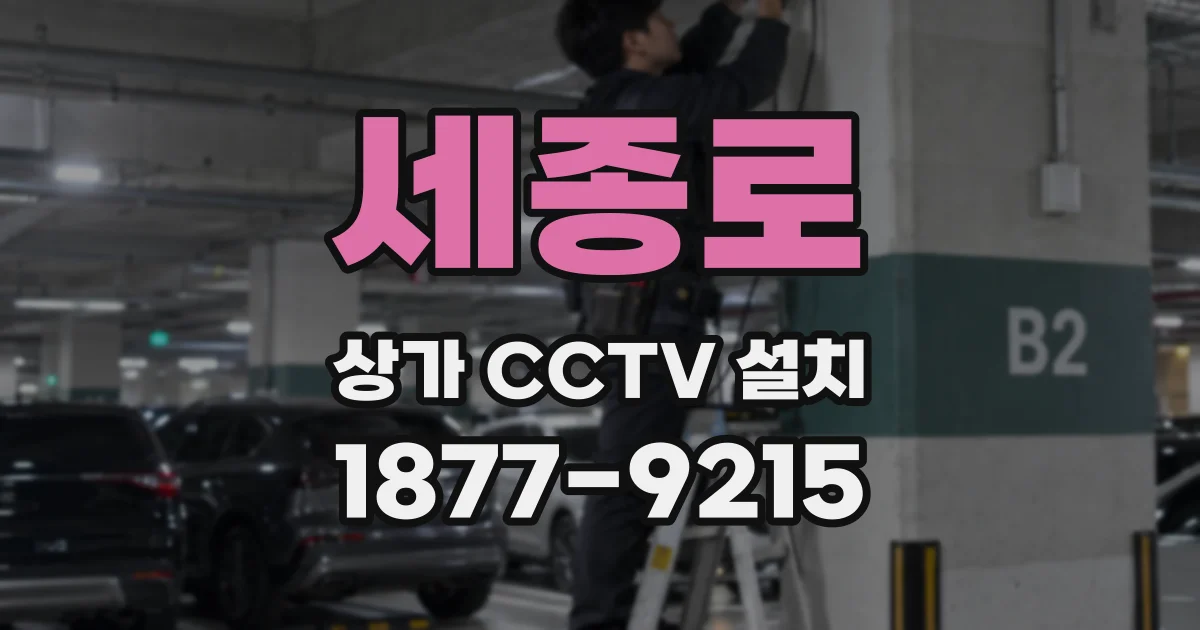 세종로 상가 CCTV 설치