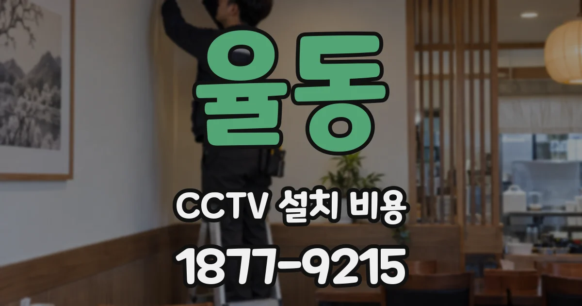 율동 CCTV 설치 비용