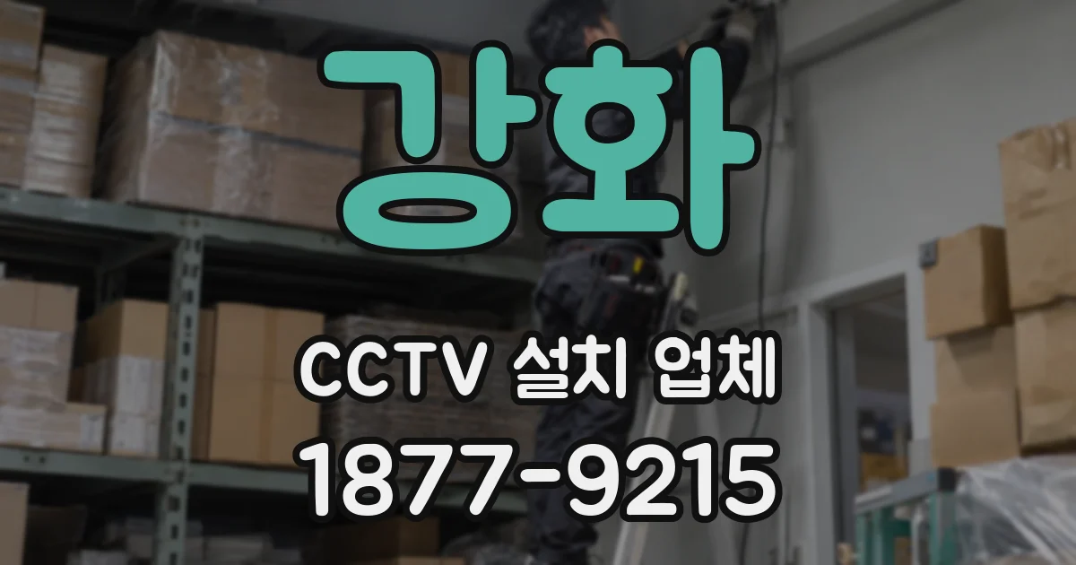 강화 CCTV 설치 업체