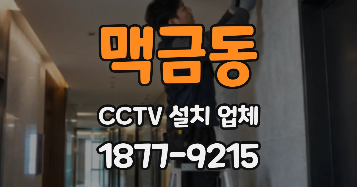 맥금동 CCTV 설치 업체