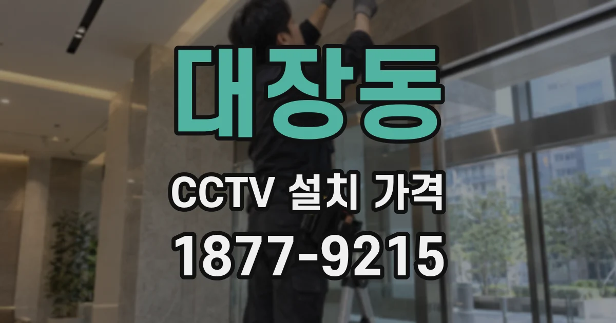 대장동 CCTV 설치 가격