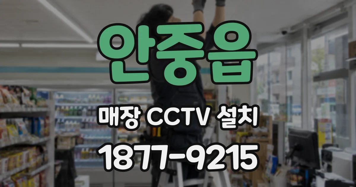 안중읍 매장 CCTV 설치