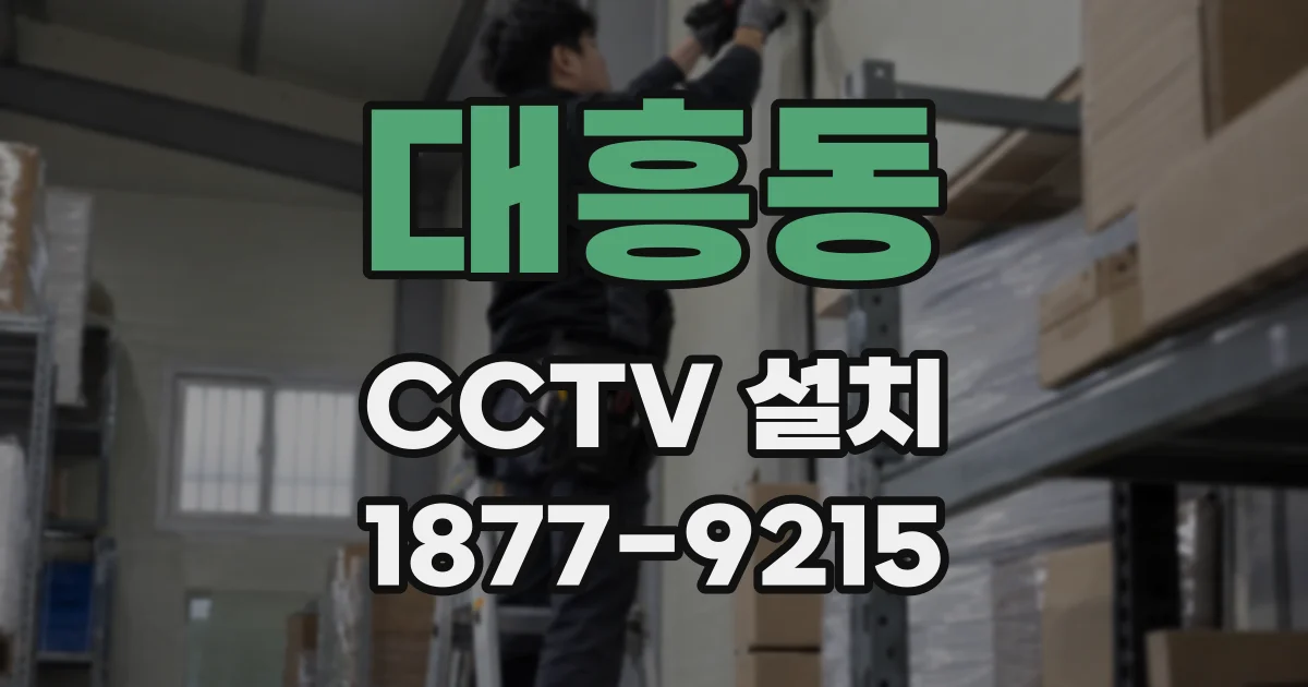 대흥동 CCTV 설치