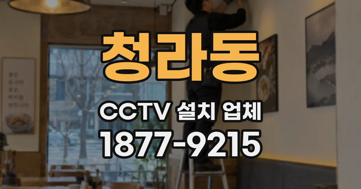 청라동 CCTV 설치 업체