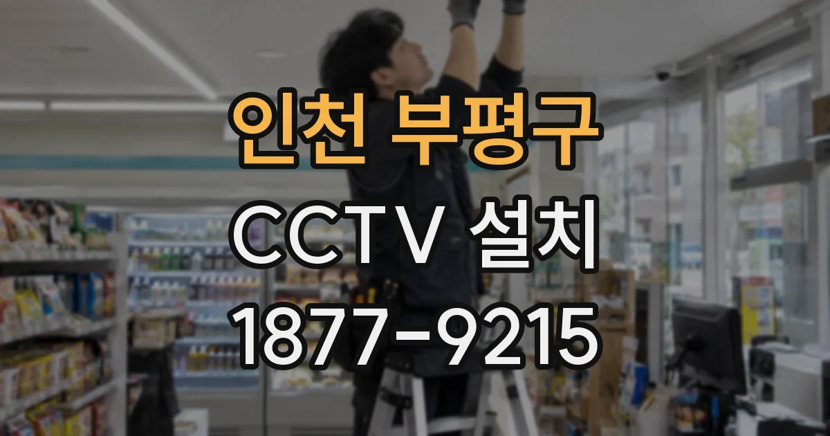 인천 부평구 CCTV 설치