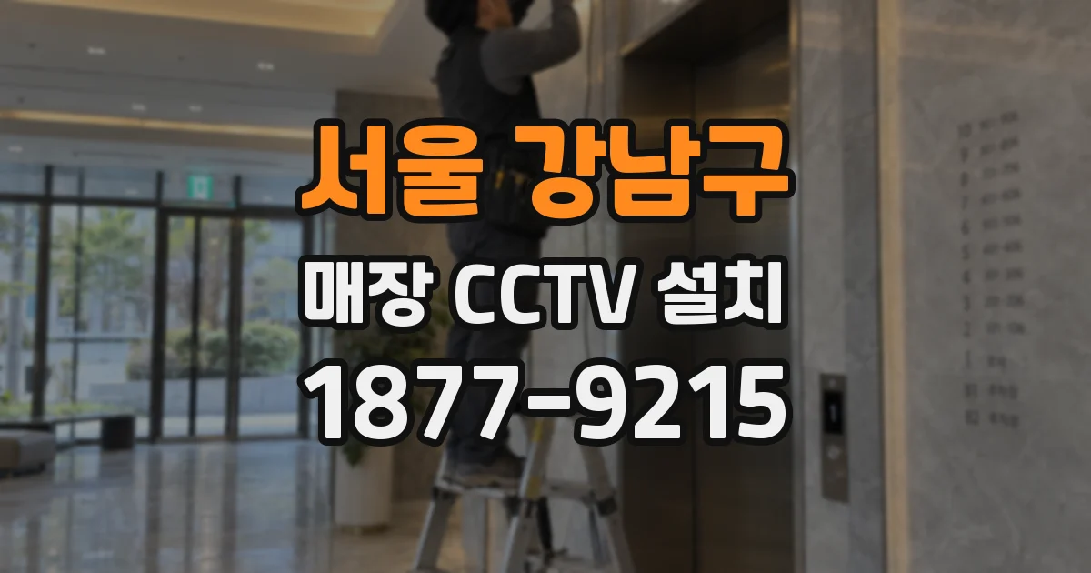 서울 강남구 매장 CCTV 설치