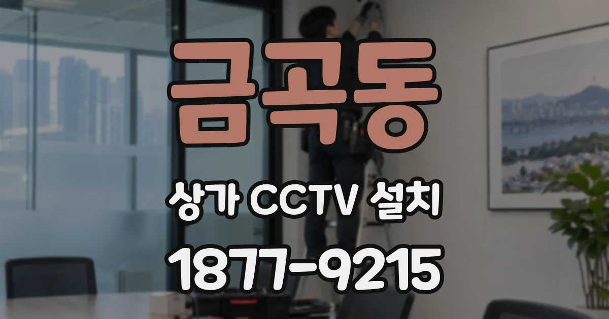 금곡동 상가 CCTV 설치