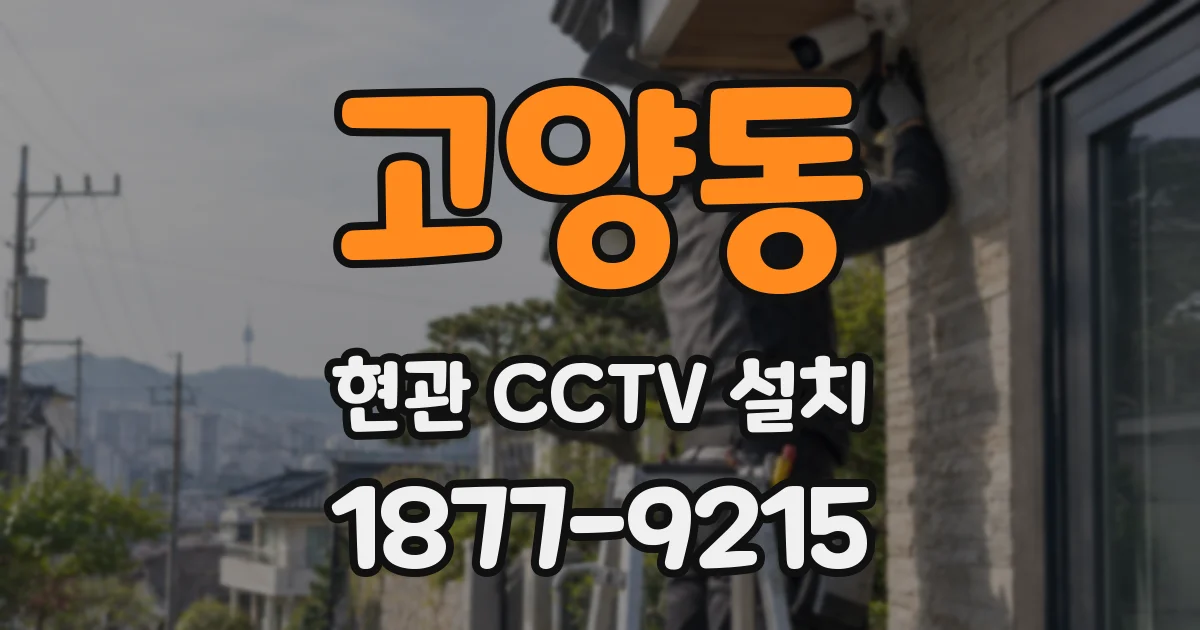 고양동 현관 CCTV 설치