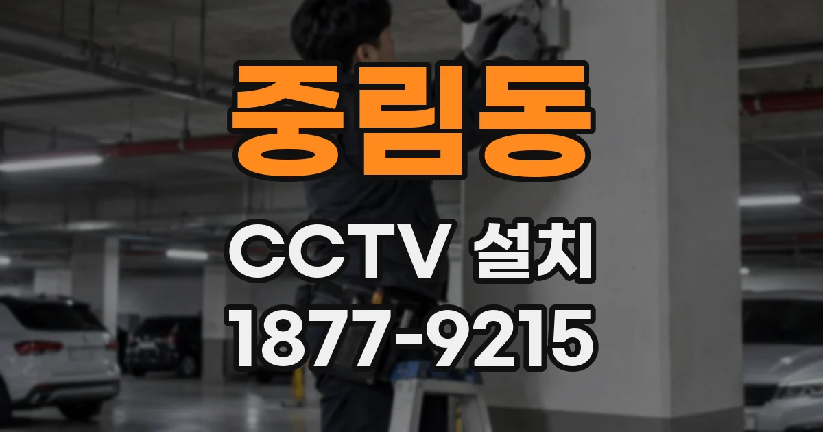 중림동 CCTV 설치