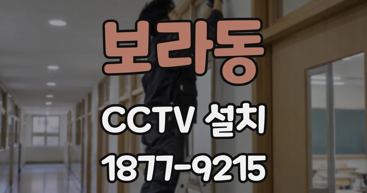 보라동 CCTV 설치