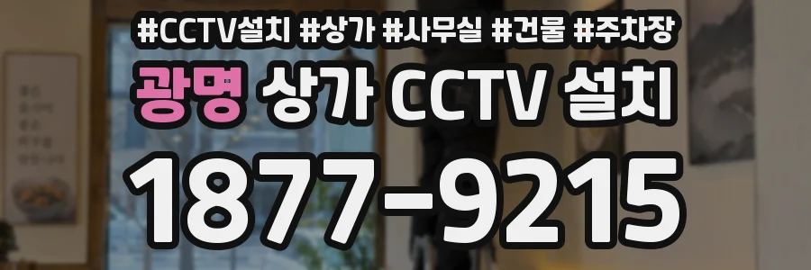 광명 상가 CCTV 설치