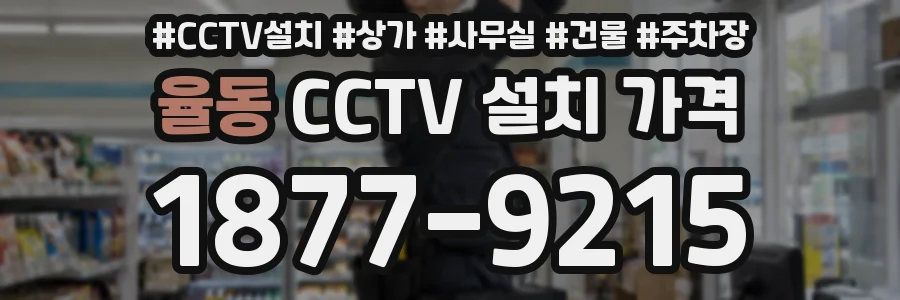 율동 CCTV 설치 가격