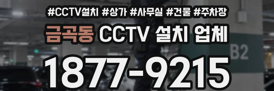 금곡동 CCTV 설치 업체