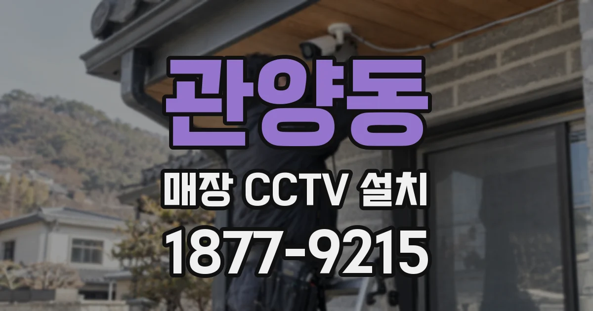 관양동 매장 CCTV 설치