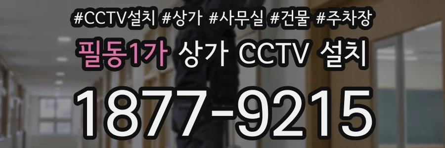 필동1가 상가 CCTV 설치