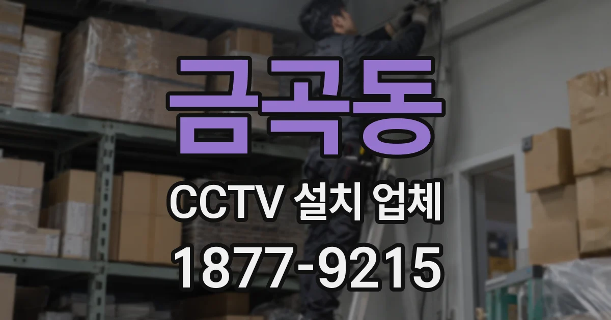 금곡동 CCTV 설치 업체